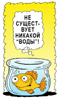 No-such-thing-as-water